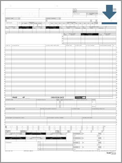 Sample CMS-1450/UB-04 Form